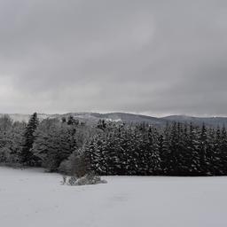 paysage de neige